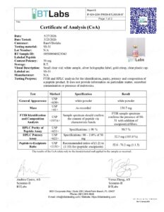 SS-31 - Image 2